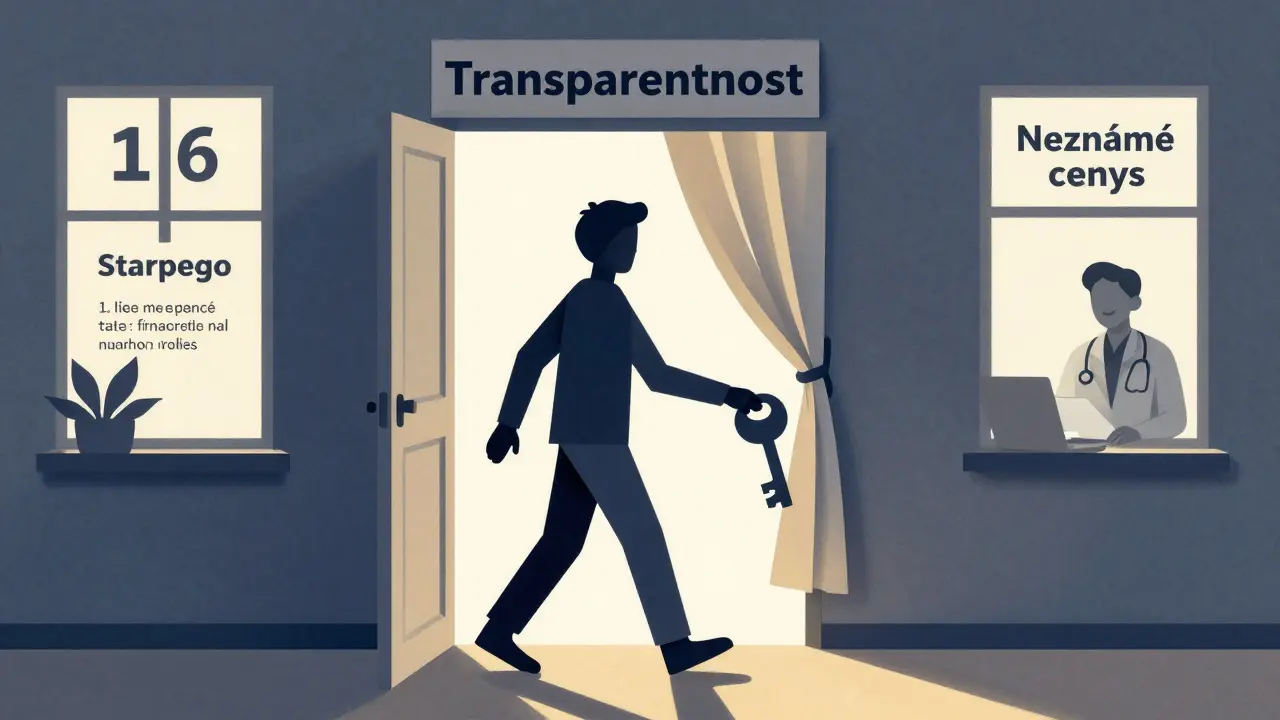 Osoba vchází do dveří transparentnosti, zatímco tajemná postava se snaží skrýt nejasné ceny.