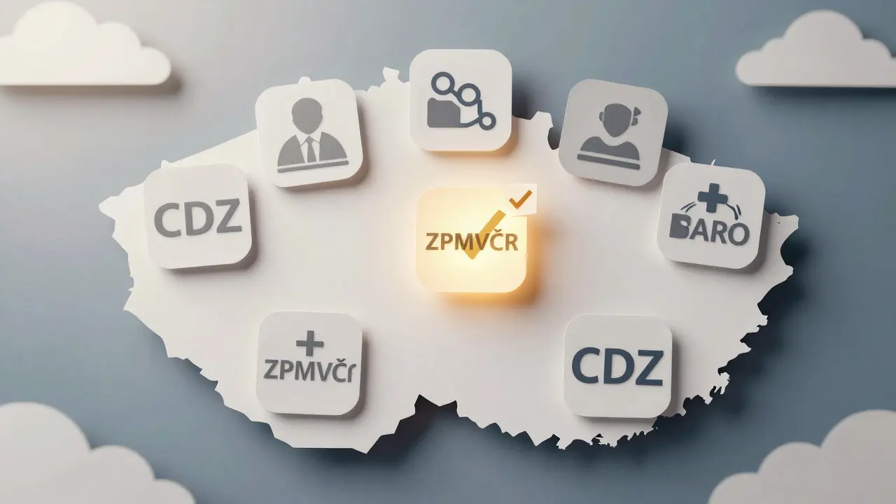 Papírová koláž: Mapa ČR s ikonami pojišťoven a center duševního zdraví.